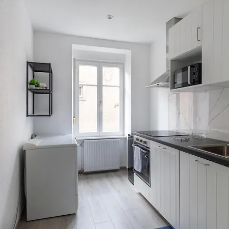 Travel Homes - Niffel 3 - Un Havre De Paix Pres Du Parc Apartamento Mulhouse